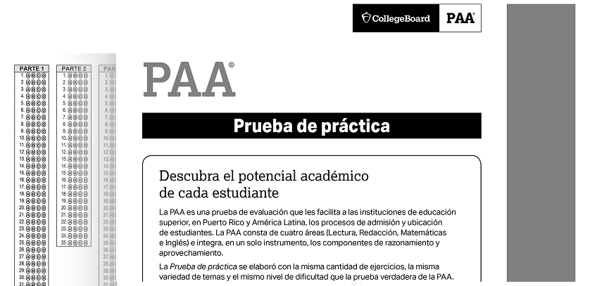 Plataforma de práctica PAA